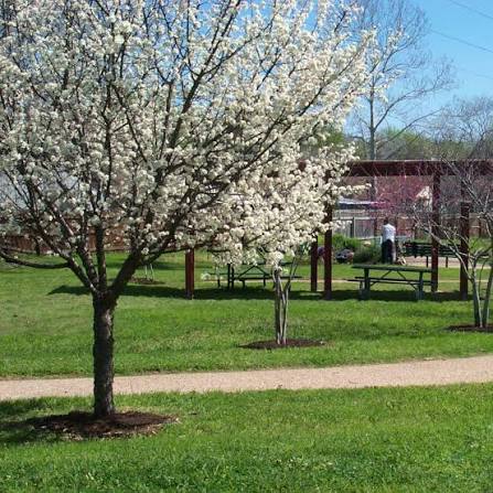 austin new multifamily properties